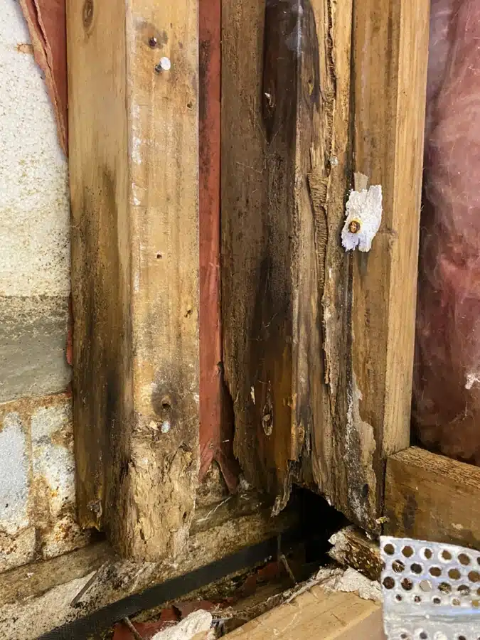 Decayed wood hidden inside a wall that was found using a Mdu Moisture Probe