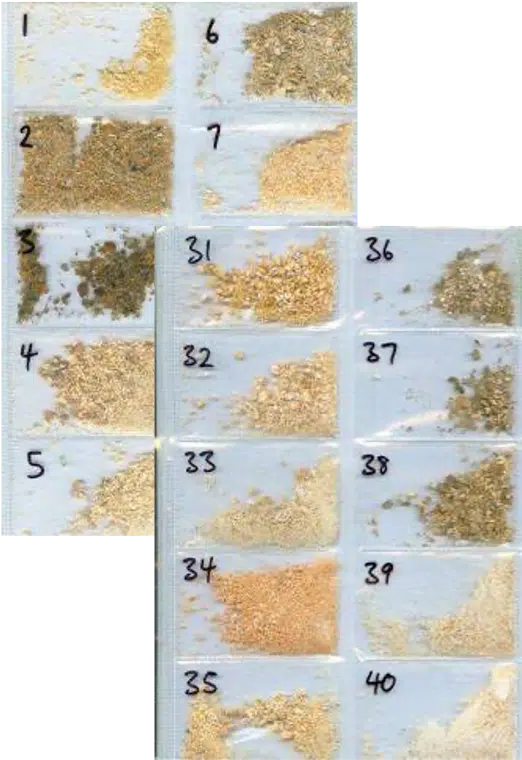 Timber Samples Showing Decay Levels for Property Managers
